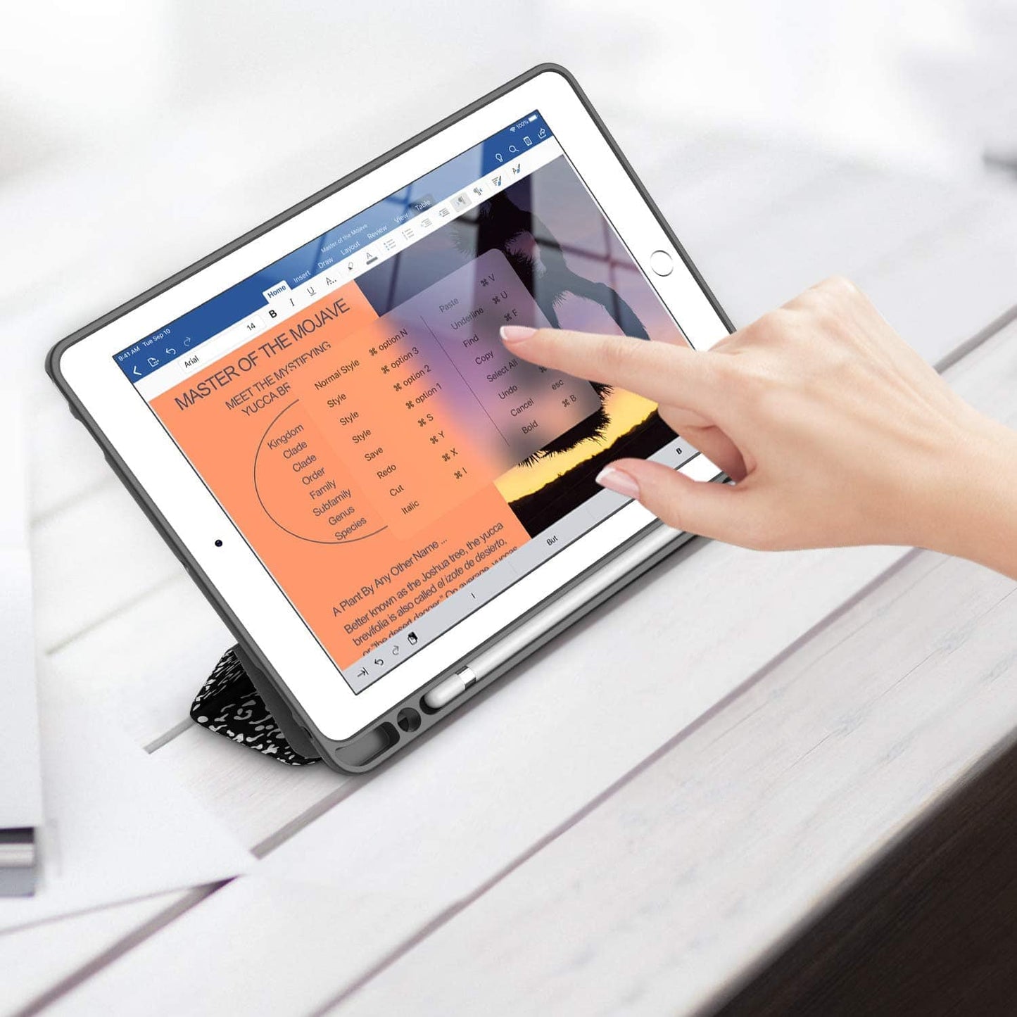 Inspire Series Folio Case - iPad 10.2-inch