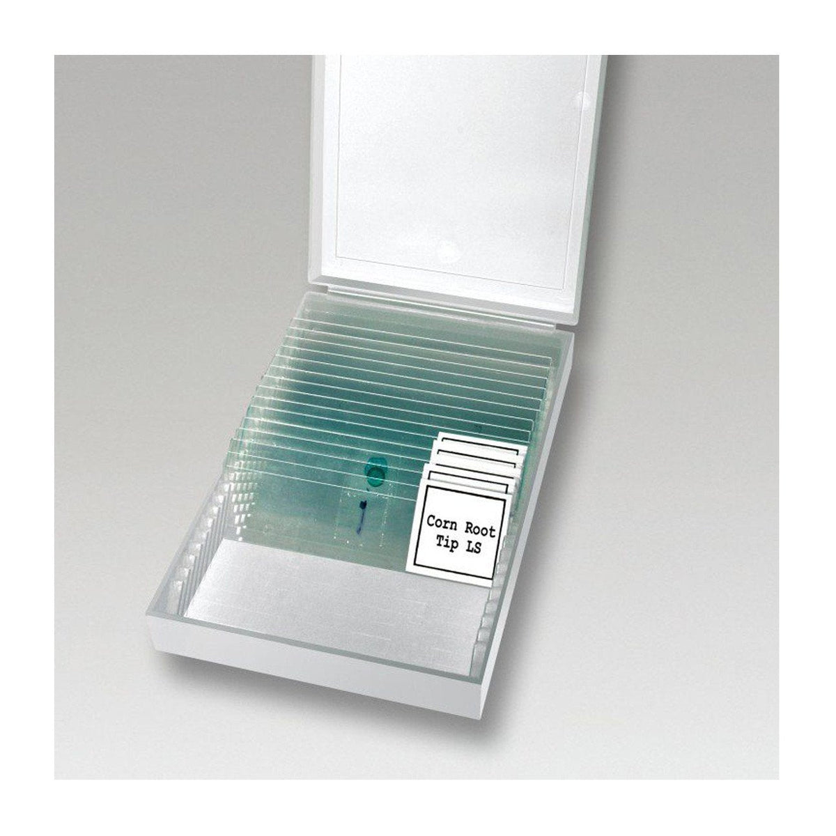 40x-1600x LCD Microscope