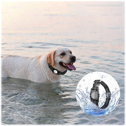 Adjustable Black Nylon Collar Case for Medium Dogs - Apple AirTag