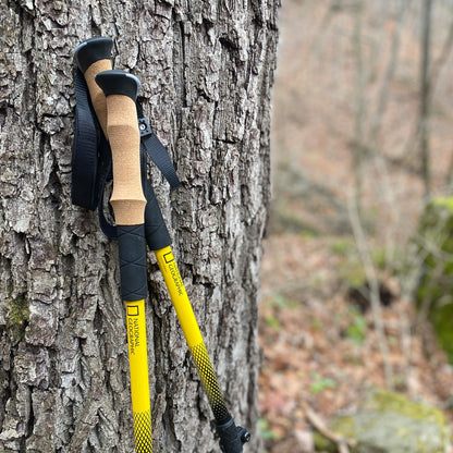 Carbon Trekking Poles Set