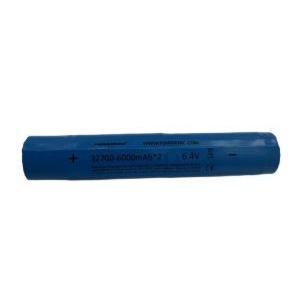 Guardsman Replacement Battery 32700