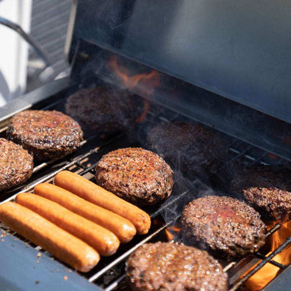 G22 | Stainless Tabletop Propane Gas Grill